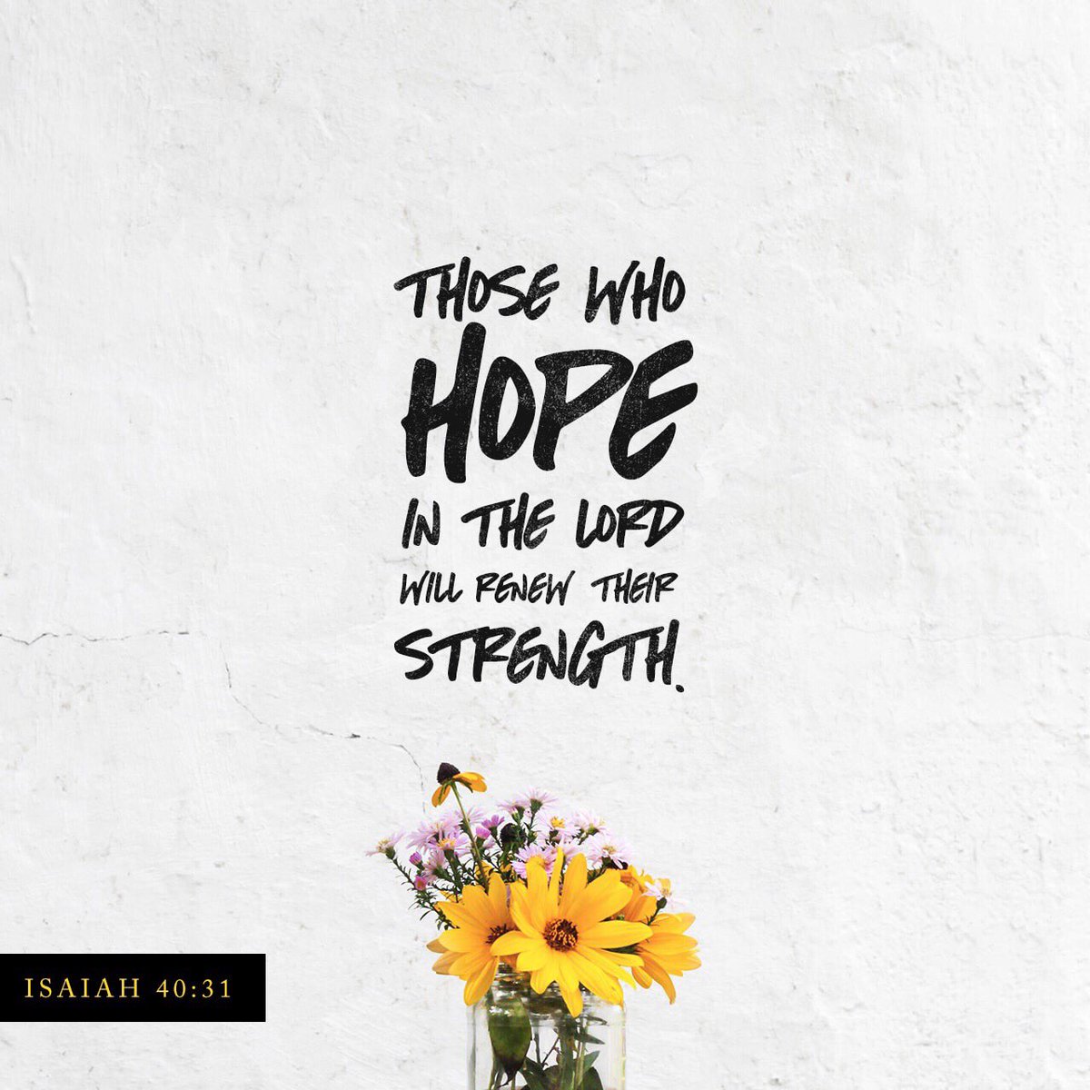 Isaiah 40:31 🙏🏻💪🏻