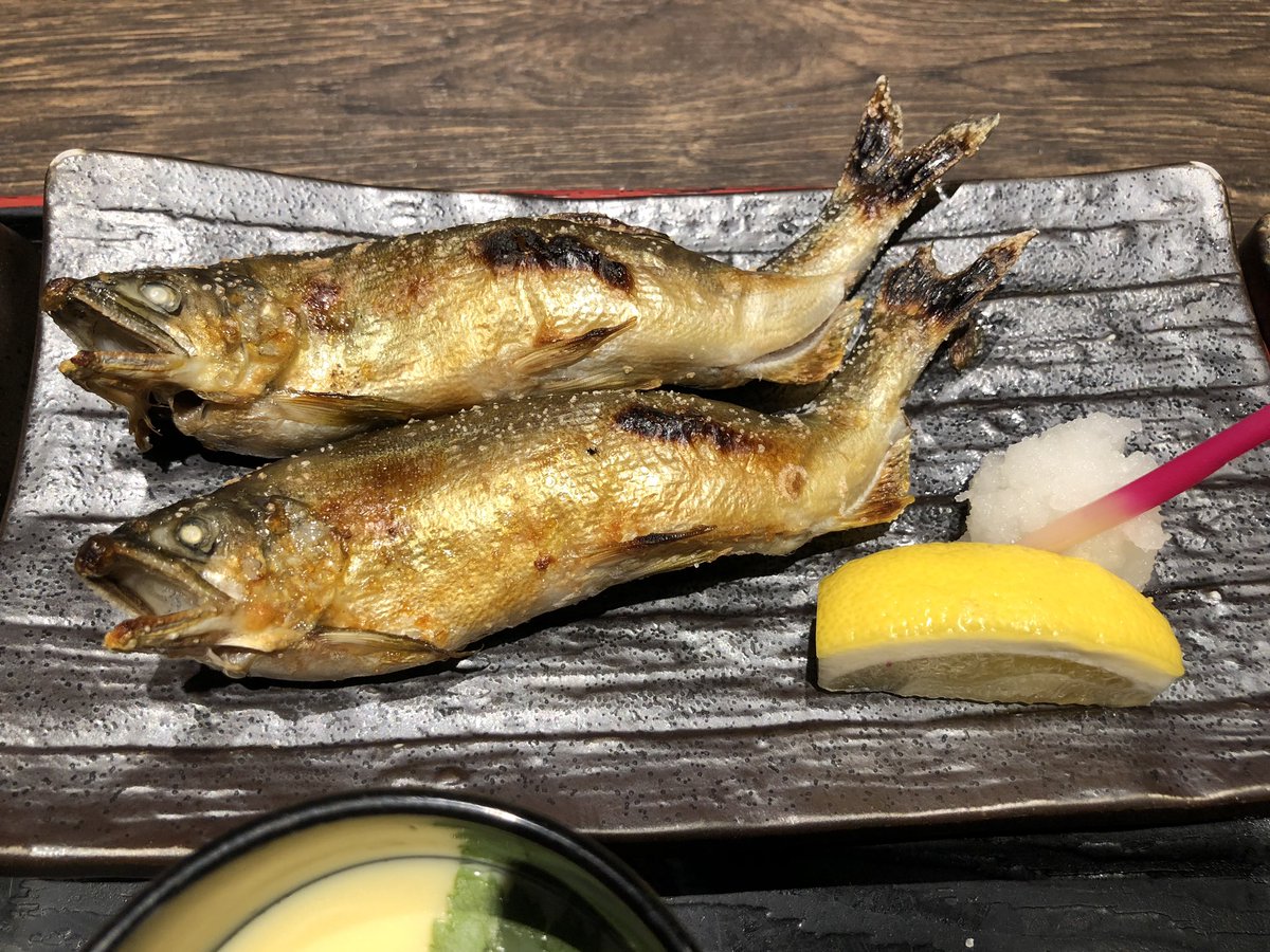 海宝 海宝