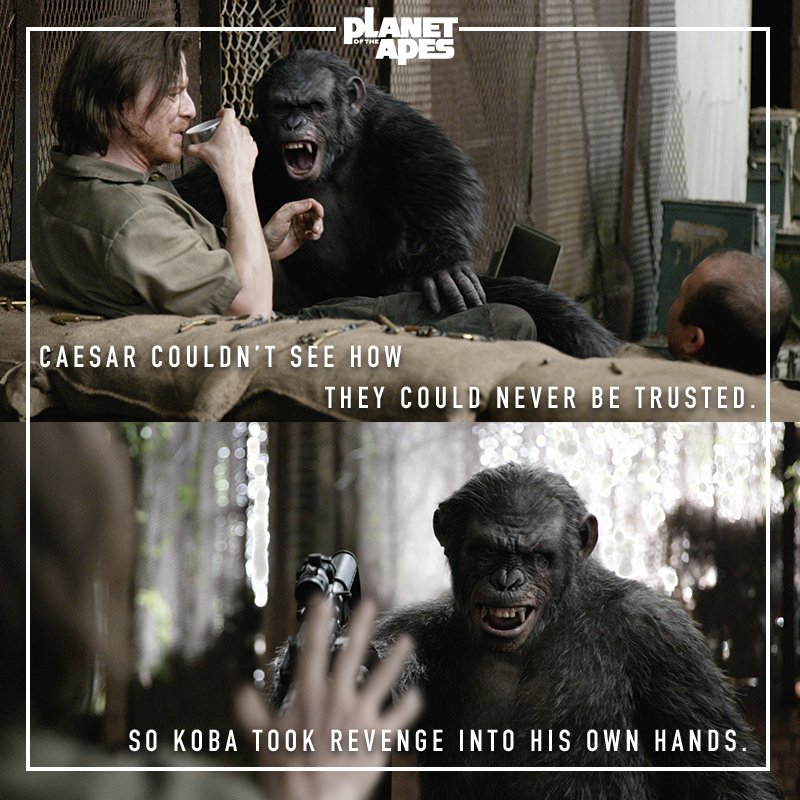 Planet Of The Apes On Twitter: "Some Villains Have A Point. This Is The Story Of Koba From #Riseoftheapes #Dawnoftheapes Https://T.co/8Tzhc3Podh" / Twitter