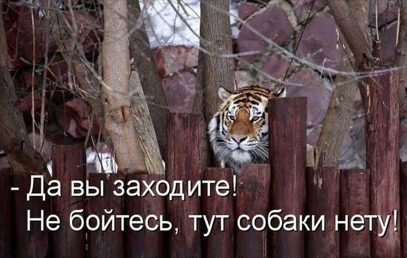 Картинки с надписями фото нету, картинки