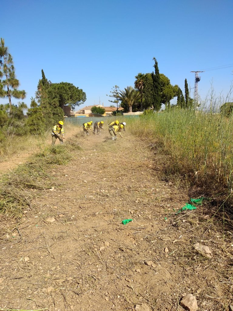 defensaforeMUR's tweet photo. 📷Unidades de #Murcia y #Cartagena realizando ejercicio práctico de construcción de #LineadeDefensa. Integramos la #PreparacionFisica específica con la instrucción en #TecnicasdeExtincion buscando una #aclimatación óptima del especialista. 
#Udif #PNA @MurciaForestal https://t.co/sZoB2wPsmY