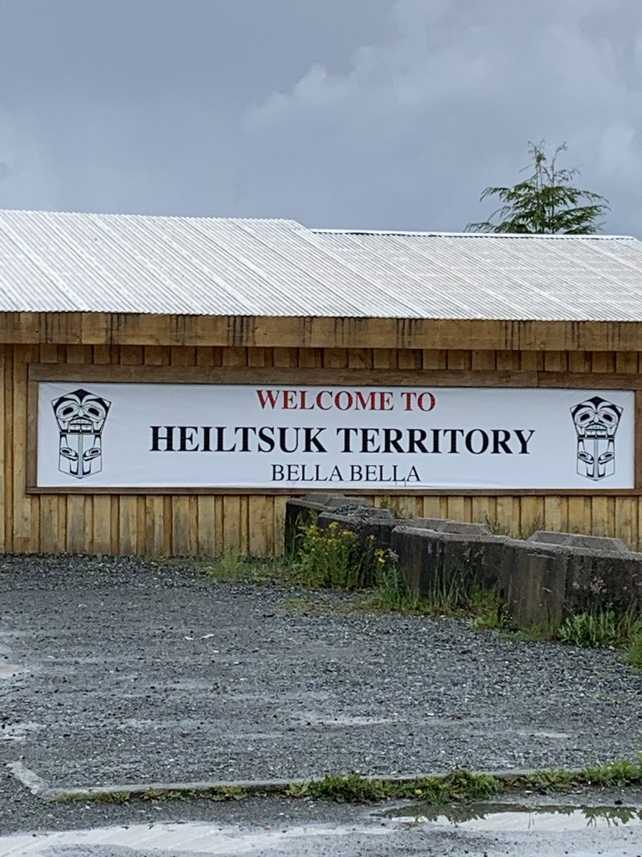 Michelle Connell tweet media