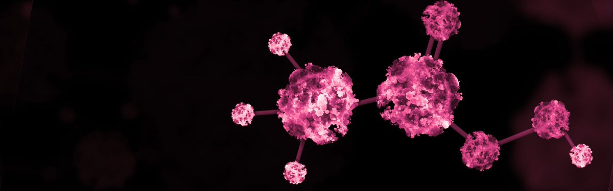 If you liked Joel's article "Regenerative Medicine's Promise to Patients" (find the article link in our profile) why not learn more about our work in the BioSurgery sector on our new website.
Click the link to discover more: tissueregenix.com/biosurgery/ove… …
#biotech #science #discover