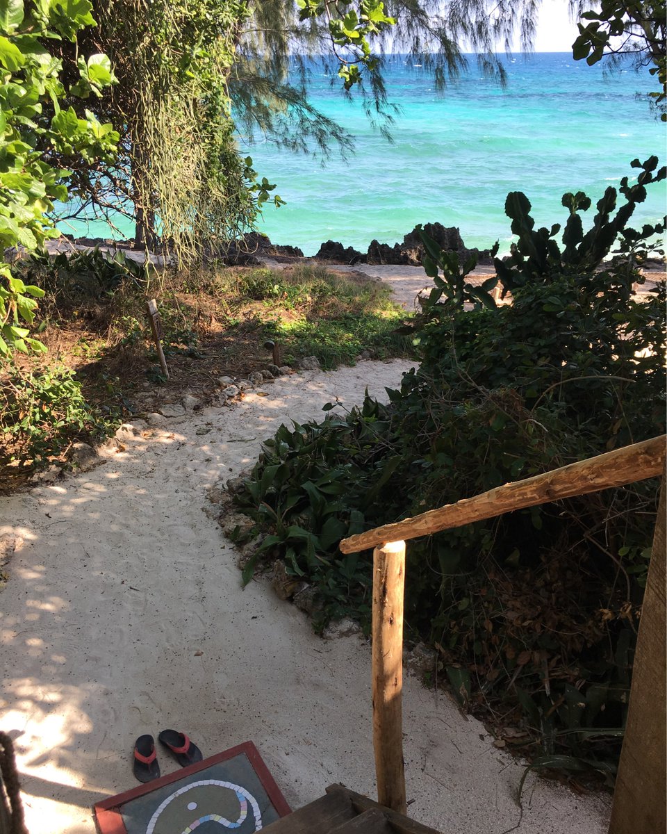 What’s your favorite spot on Chumbe Island for an ocean view? We’ve got many, and one of them is the view from bungalow #6. 😍 #ecobungalow #chumbeisland #zanzibarisland #zanzibar #ecotourism #visitzanzibar #oceanview #indianocean #paradise #privateisland