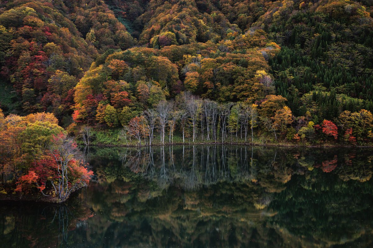 ヒーコ 写真とカメラのwebマガジン 7月日 土 に開催する 絵画的風景写真に表現する手法と 迫力ある構図作りのために必要なテクニックやレタッチについてのオリジナルセミナーが見逃せない 構図の考え方 Raw現像を前提とした撮影技法 風景を ヒーコ 写真とカメラのwebマガジン 7月日 土 に開催する 絵画的風景写真に表現する手法と 迫力ある構図作りのために必要なテクニックやレタッチについてのオリジナルセミナーが見逃せない 構図の考え方 Raw現像を前提とした撮影技法 風景を