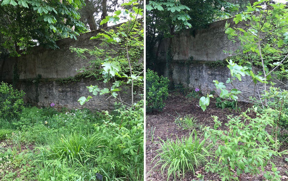 Avis aux amateurs de botanique ! La Brise de Mer offre l’hébergement la nuit du lundi 1er au 2 juillet à cinq d’entre  vous, seuls ou accompagnés, en échange d'un petit coup de main pour de menus travaux d’entretien de son parc arboré ! labrisedemer.com/hebergement-gr…