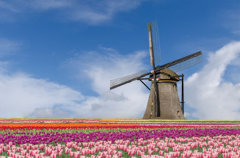 L’#Olanda, con i territori pianeggianti, i paesaggi naturali e le città moderne e innovative, è una destinazione family-friendly perfetta per un viaggio in #bici. Scopri i nostri itinerari per visitare l’Olanda con i bambini! 
#turismolento #viaggi
bit.ly/2MX0ybG