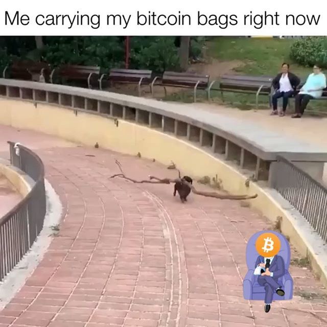 BitcoinTherapy's tweet photo. Well, I’ve been carrying these since 2015 so I’m pretty good at navigating the market. Let’s go BTC #10kisnext https://t.co/n31PloCZcn https://t.co/QWwWlF6r0a