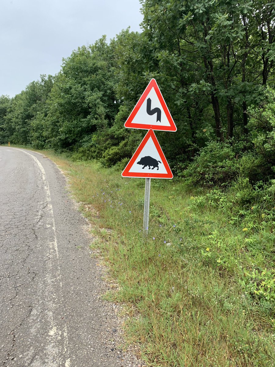 54 miles into Day 1 <a href="/1moreChild/">1moreChild</a> <a href="/Ride25World/">Ride25</a> Istanbul to Candir ride and <a href="/OregaOffices/">Orega Offices</a> #teamorega have faced wind, rain, unmade roads and punctures galore and now we potentially have Wild Boar to contend with 😳 When it comes to adventure this has it all!!!