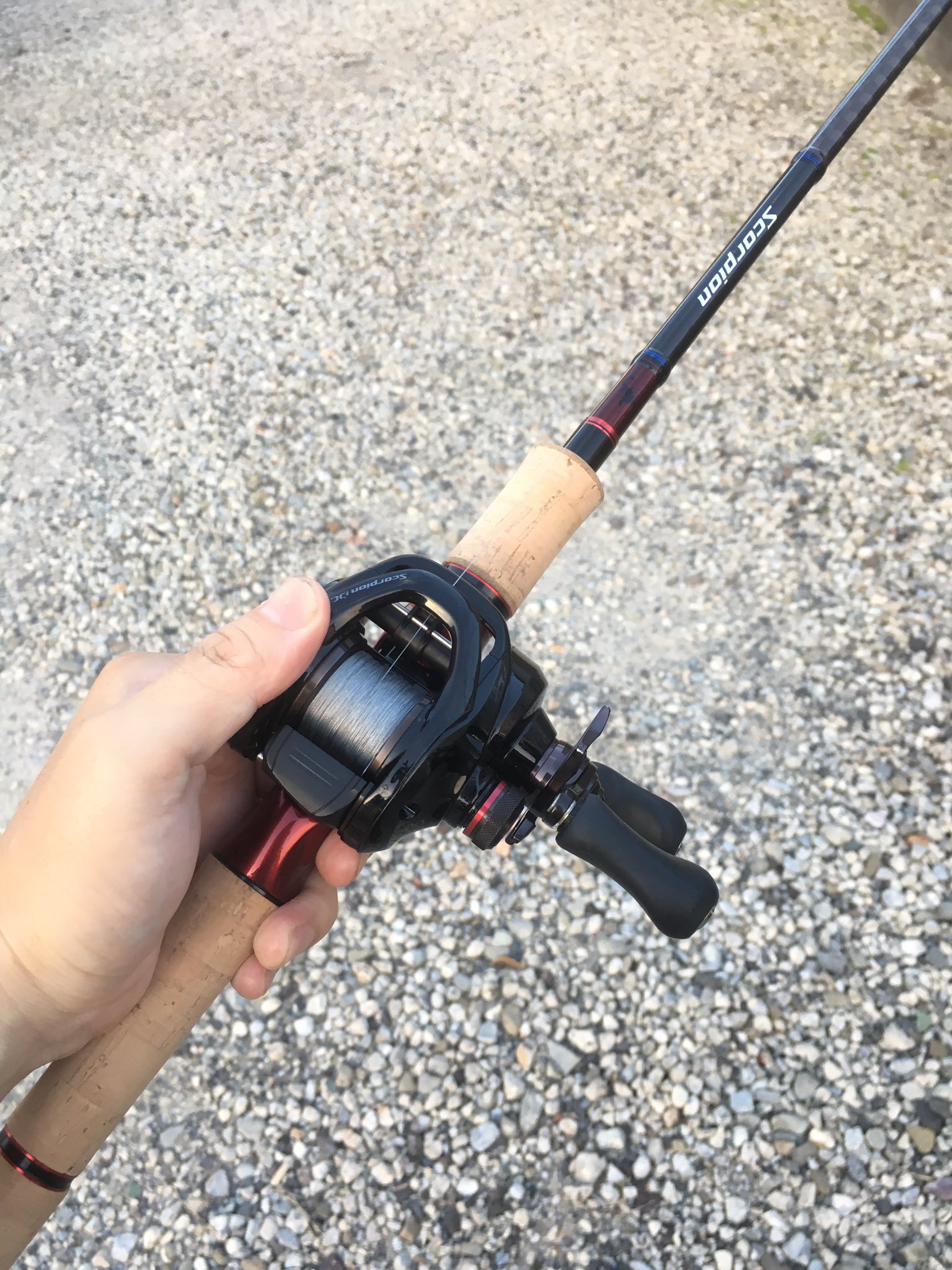 スコーピオンロッド Www Vetrepro Fr