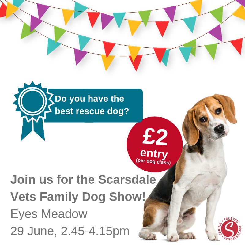 Scarsdale Vets tweet media