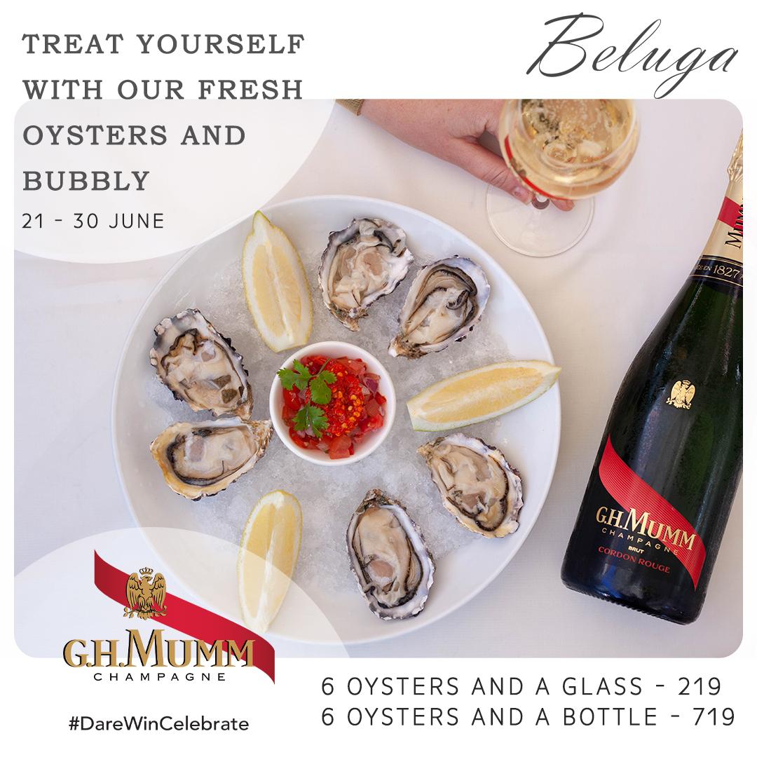 BelugaCapeTown's tweet image. Missing out on the #KnysnaOysterFestival? Don’t fret! We’ve got you covered at Beluga with our #amazing #oyster and #bubbly #special😍

A match made in heaven🤩 

#Fresh #WestCoast Oysters and French #Champagne🥂

#Book Now - 021 418 2948📞

#capetownguide #capetownetc @GHMUMM