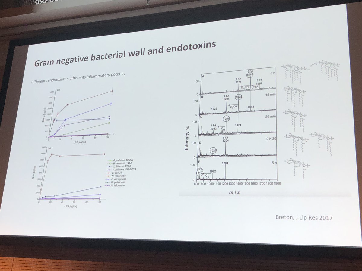 Fantastic education session on #GramNegative #endotoxins role in #sepsis

Endotoxins from different bacteria have different potency & there is variation across species (mouse vs human). Much still to discover & learn re practical implications

@PierreTissieres #ESPNIC19 #PedsICU