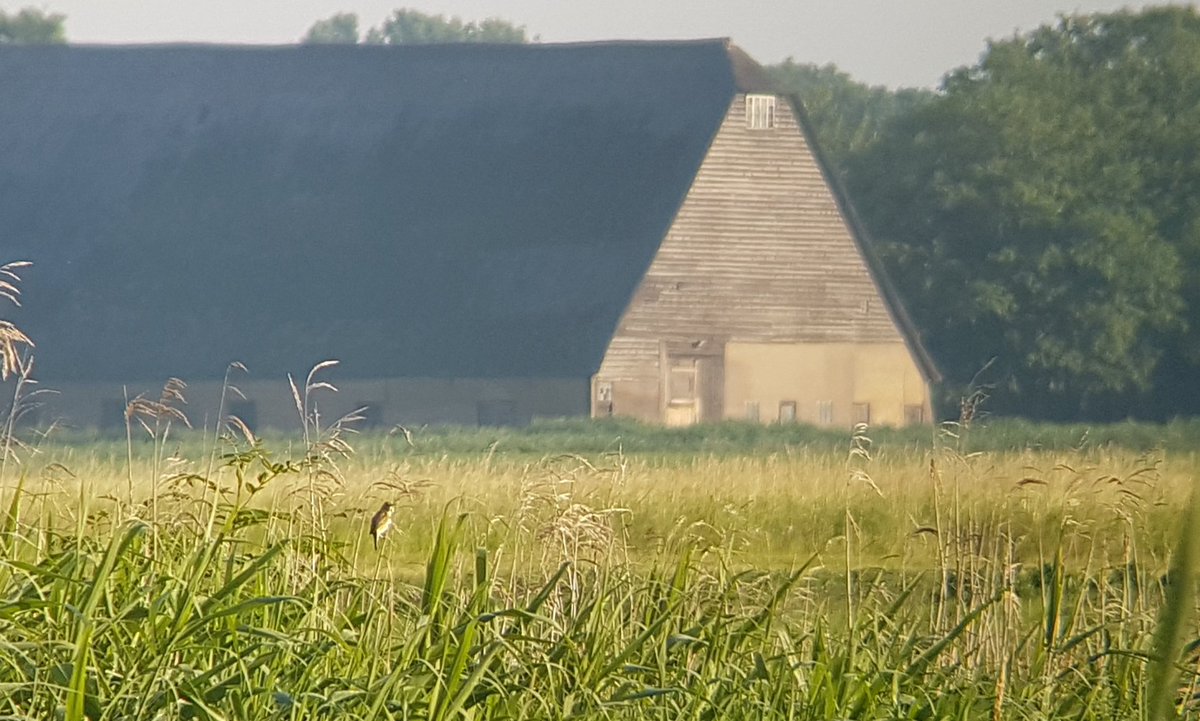 Poldernatuur tweet media