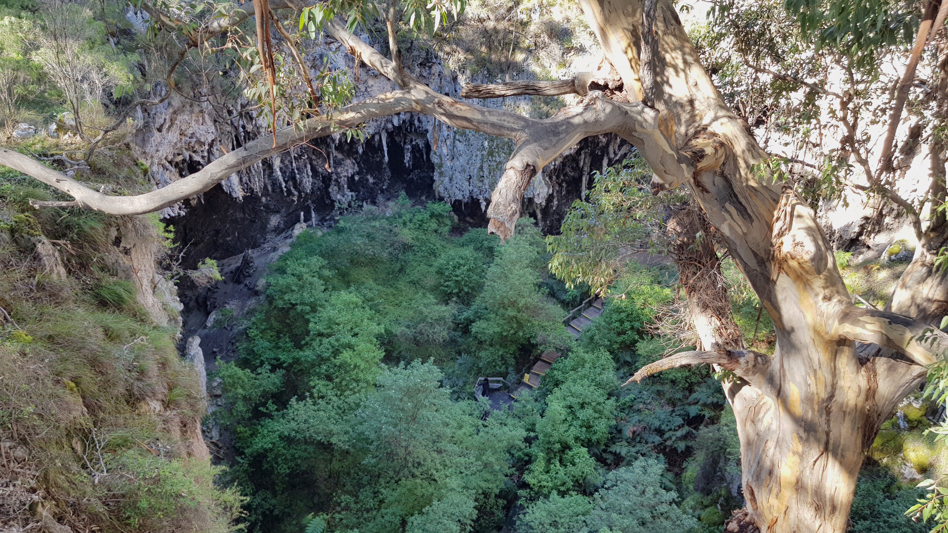 Ross Explored A Real Life Sinkhole Yesterday I Feel Like I Did A Good Job With The Jungle Temple But Now I Want To Draw More Caves T Co Omnrwrkfdf Twitter