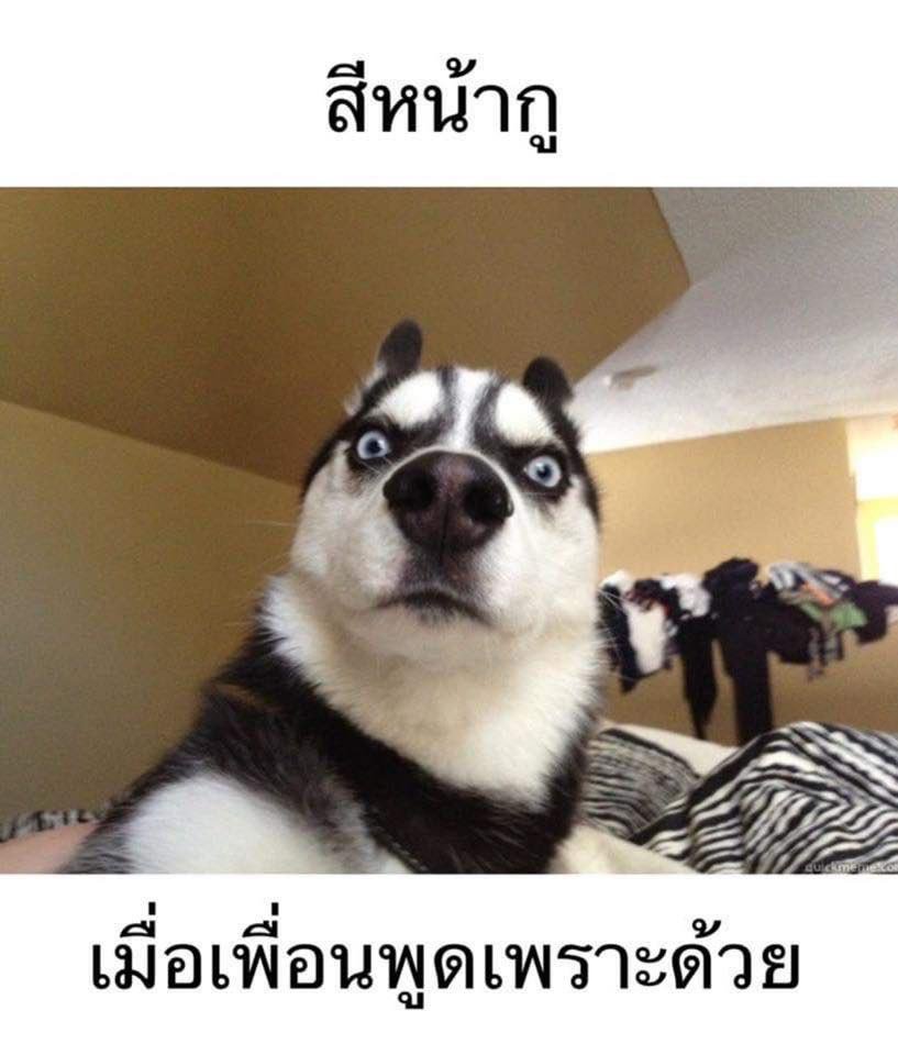 คนอยากเขียน. tweet media