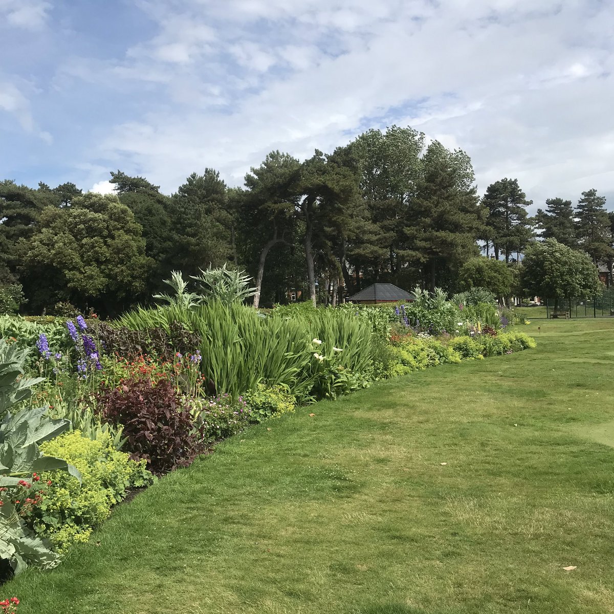 Beauty surrounds us, but usually we we need to be walking in a garden to know it. @LowtherTheatre #lowthergardens #lytham #lythamlife #lancashire #fyldecoast #treeguardians #adoptatree