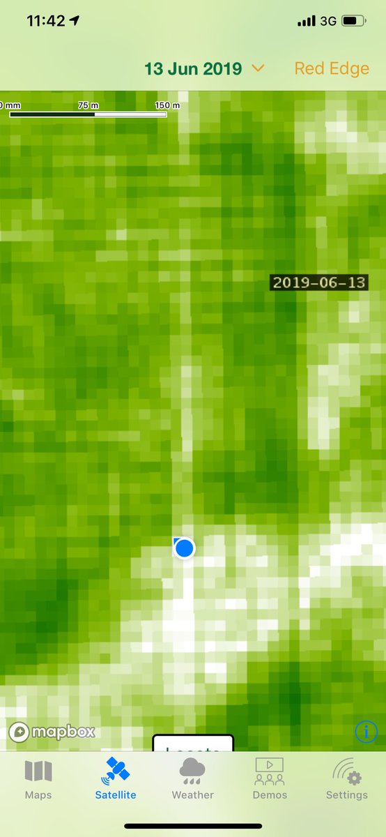 #Nstrip fertiliser burn on deep sand ⁦<a href="/gsandral/">Graeme Sandral</a>⁩