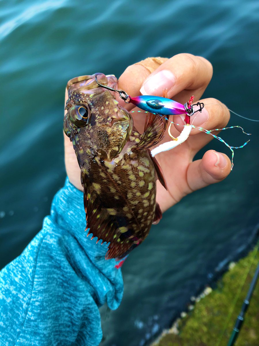 ソルトベイトフィネス