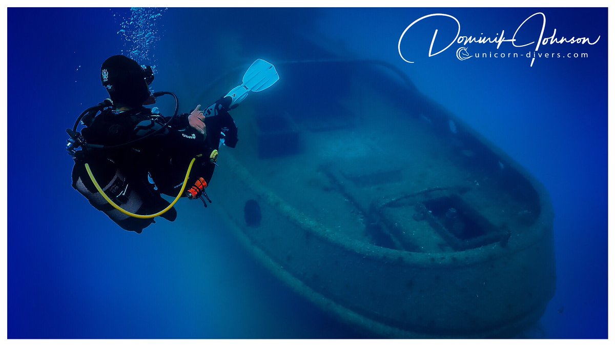 dominik_johnson's tweet image. look back and share a smile... #WreckDiving w/in #ScubaDiving and #SpringMusic cc. @VeBee @PADI @Scubapro @getolympus