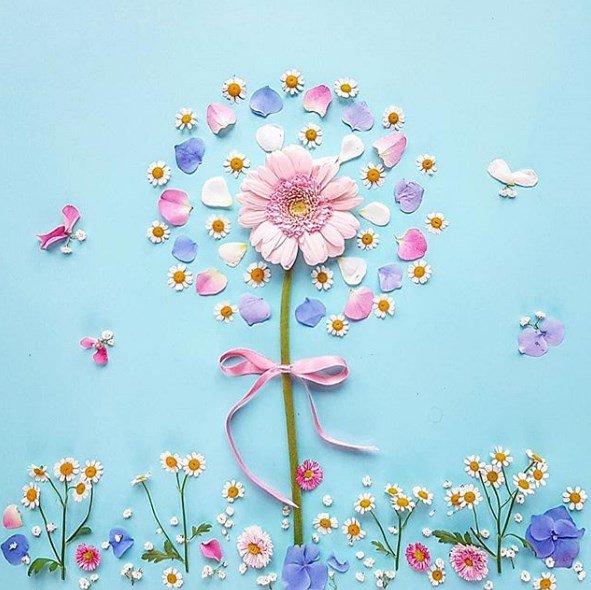 Daisy tweet media