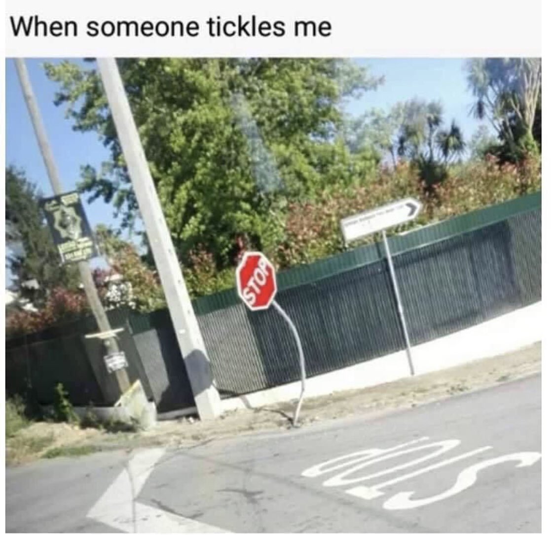 🐥 | 𝑳𝒆 𝑪𝒉𝒊𝒄𝒌 𝒉𝒆𝒓𝒔𝒆𝒍𝒇 ♡ (@first_pastries) on Twitter photo 