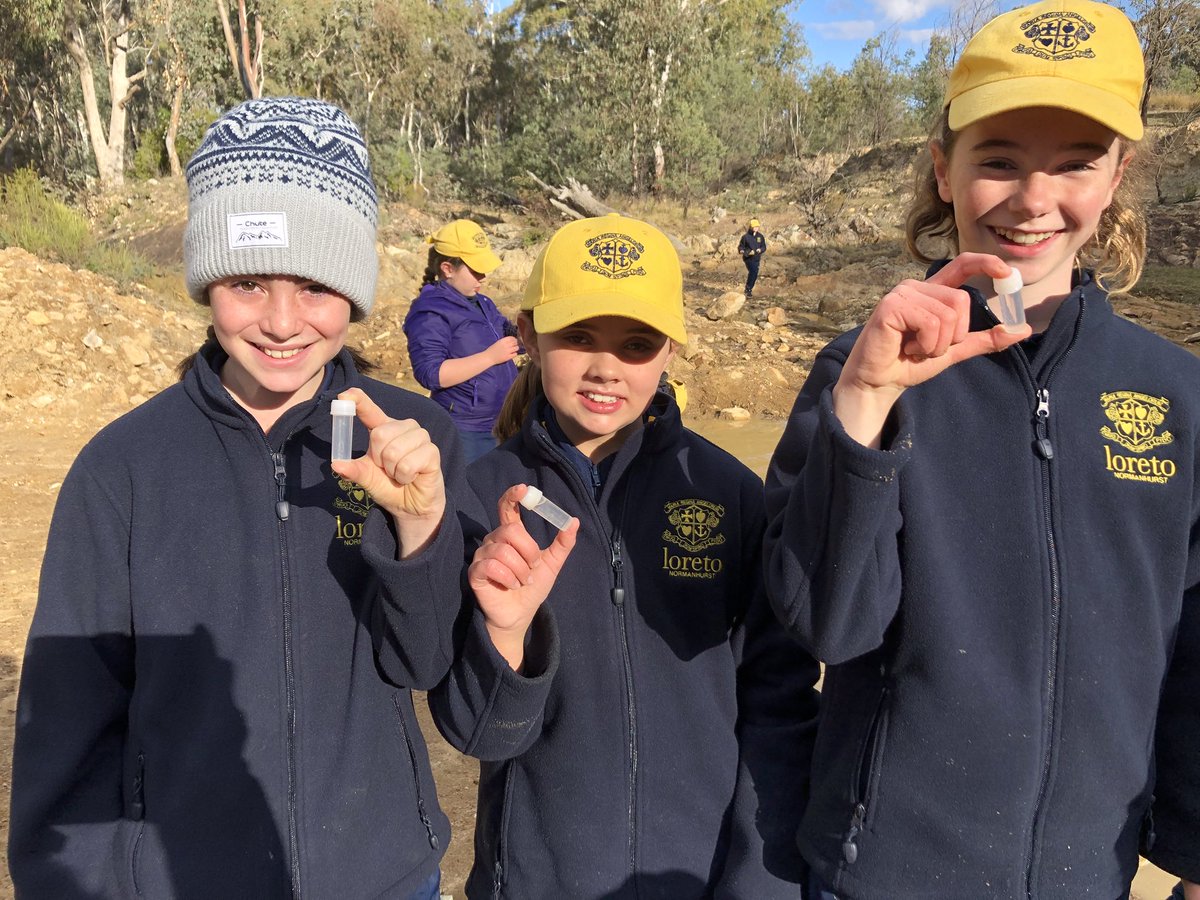 LoretoPrimary tweet media