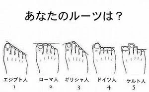 あなたのルーツは
何人ですか？ 