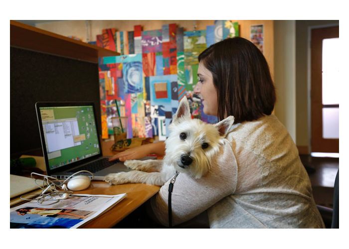 Une meilleure #productivité dans les #bureaux du futur ? | Rocket Services buff.ly/2FfTqkv