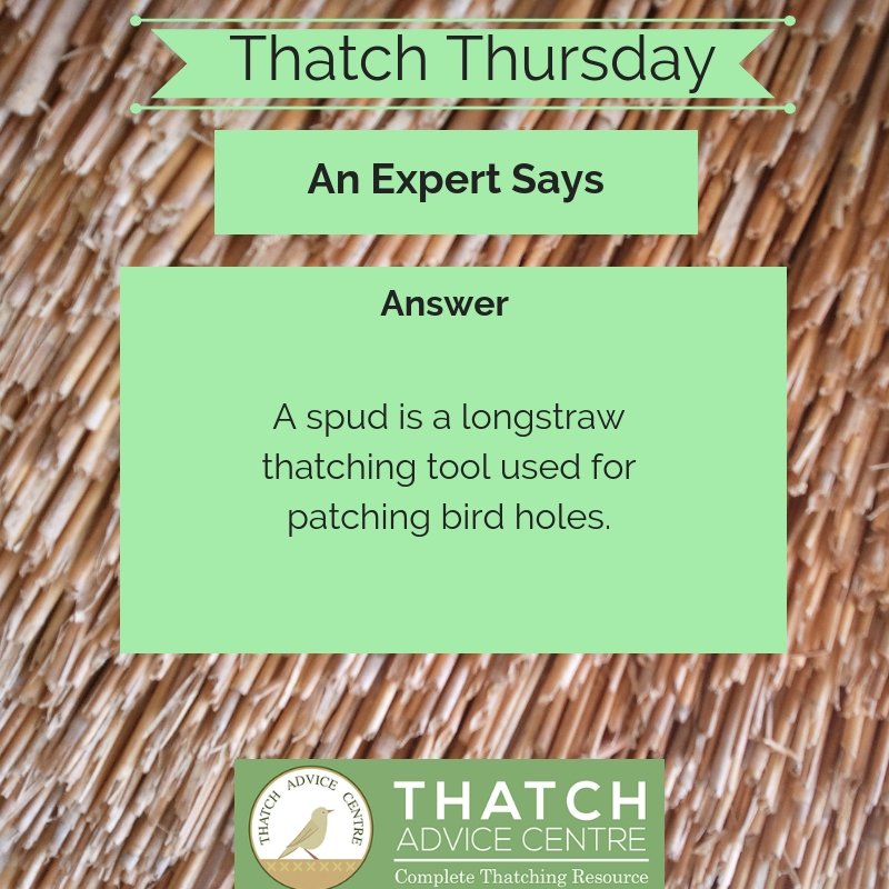 #ThatchAdvice #ThatchThursday Did you know the #Thatch #Answer?!