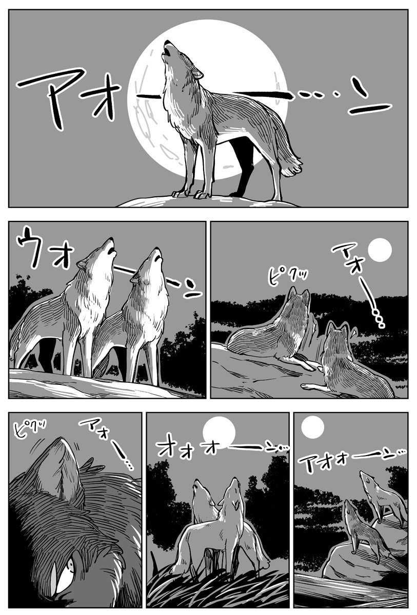 狼の遠吠え

#こりせんまん 