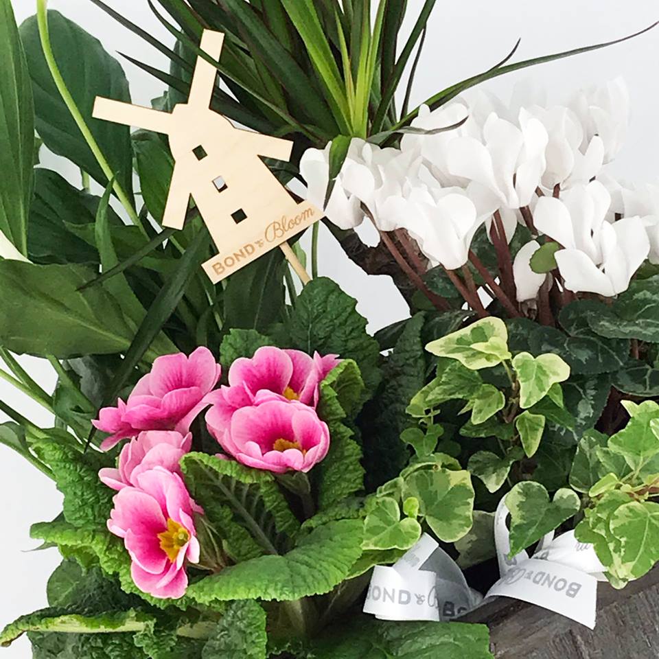 If it's the 3rd Thursday of the Month, it's #Lytham Market Day. Come on over, have a browse around town too!
Seek out <a href="/BondandBloom/">Bond & Bloom Florist</a> as they take a selection of their fabulous flowers  there on Market Day