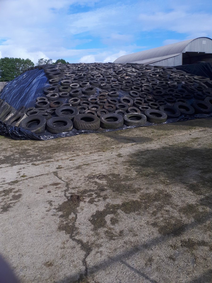 A good  #silage photo #inthepit.