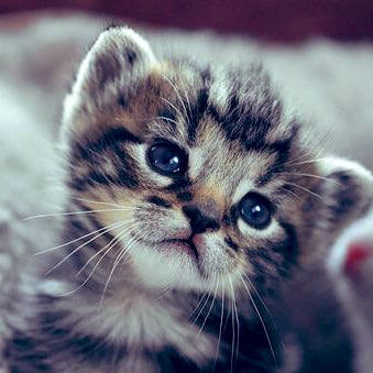 ForeverpurpleV's tweet image. Oh Yoongi💜nice to hear from you guys💜know that we always support you guys and I love you so much💜I hope you have a nice day whatever you are doing💜and can’t wait to see you on tv for Muster🎉