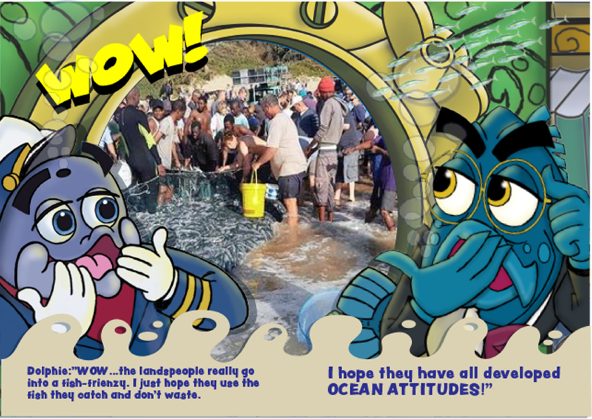 "THE GREATEST SHOAL ON EARTH"
#oceanelders #greenpeace #drguyharvey #worldoceanobservatory #nationalgeographic #consolglass #oceanmagazine #marineconservation #noplastic #wyland