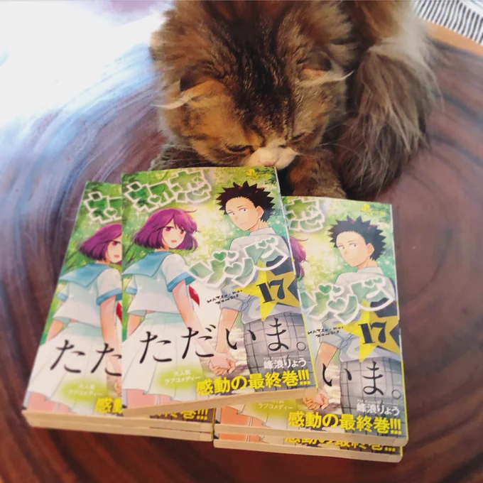 バイニャーオススメ???
初恋ゾンビ 最終17巻がそろそろ全国で売られてるはずです!
本屋に置いてなかったら取り寄せなんかしてもらえると来年も漫画描けそうです!
どうぞよろしく‼︎
https://t.co/Xz5wviNdxL 