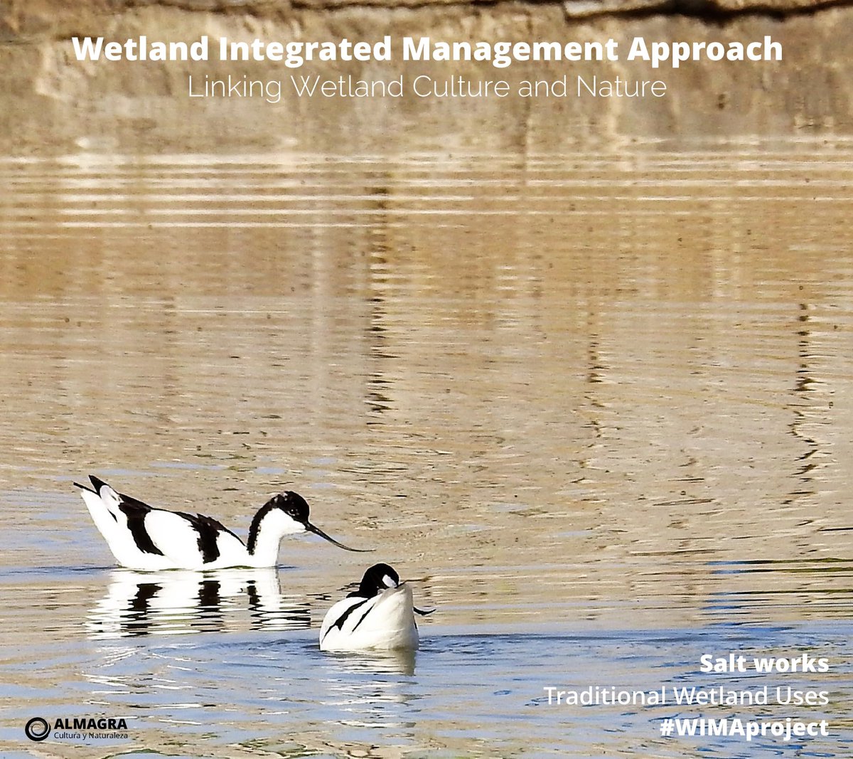 almagra_'s tweet photo. Traditional Wetland Uses: Salt Works
#WIMAProject #BrazoDelEste, #SalinasdeValcargado
@RamsarConv, @MEDProgramme @wetnetmed, @FAMPcomunica, @SEO_BirdLife, @BirdWatchingMag @CHGuadalquivir, @MedioAmbAND, @mitecogob, @FAO, @FBiodiversidad https://t.co/ZmmW8CsFIi https://t.co/bhiFkFqgca