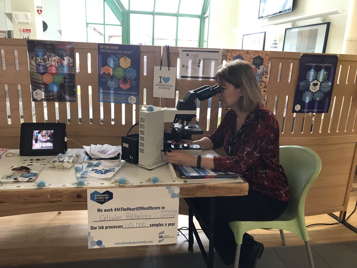 CellularRDE's tweet photo. Come and join us in Oasis at RD&amp;E for #biomedicalscienceday2019 https://t.co/RR7if2IyUT
