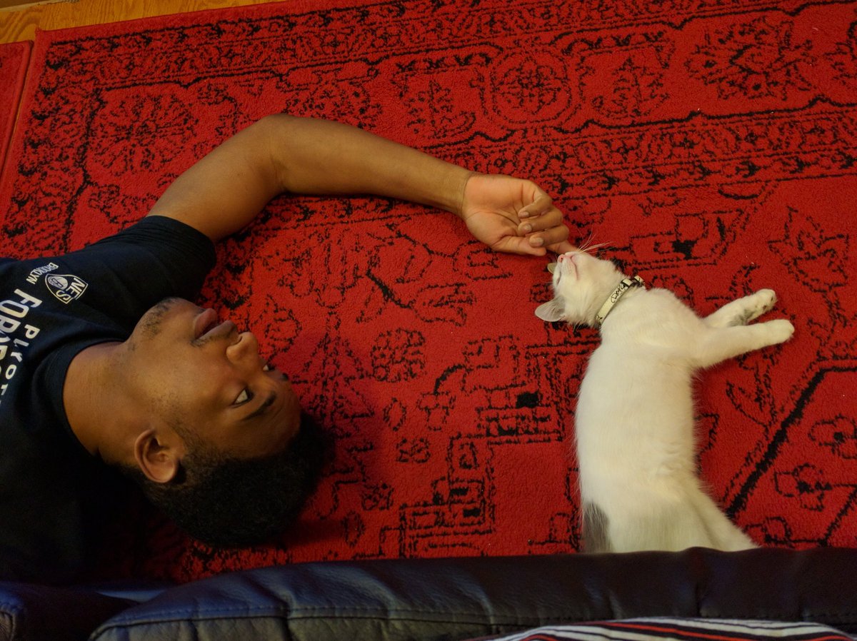 TheAlicePika's tweet photo. Ayeeee changed my profile pic and reminded me of back when we first got Bombay. Etika fucking LOVES this cat!

Hope these pictures can bring some positivity into this dark situation. He's in pain but not harmed, I'm sure of it. Have faith that he's gonna take his health seriously https://t.co/p3n0r0dnCc