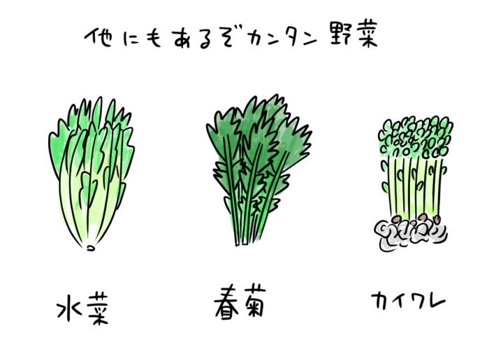 サラダにするべき野菜は

豆苗
水菜
春菊
カイワレ
です！！！！！ 