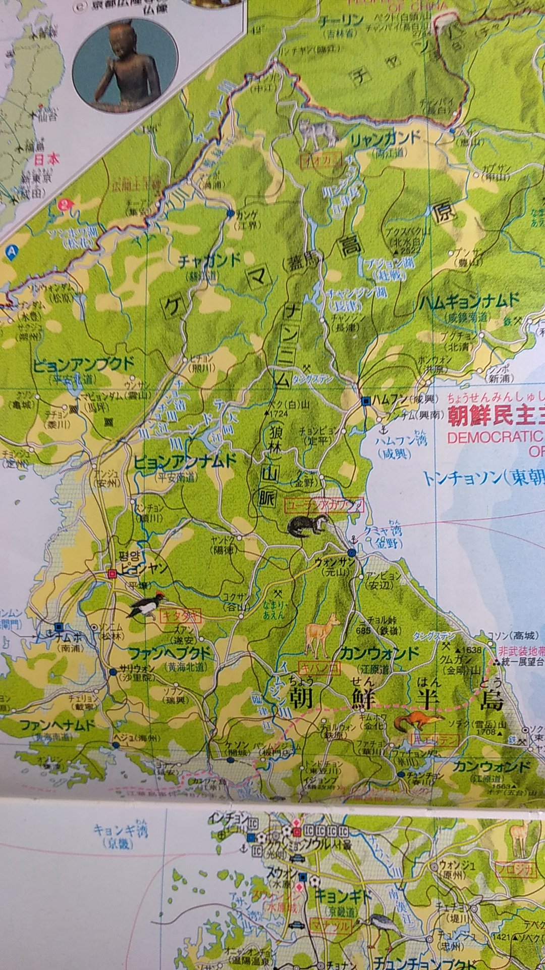 フォルフ Folf Tomorrow I Ll Visit Korea At My First Time With 光牙 狼林山脈 랑림산맥 地名かっこいいから行きたいな 地図上部にも狼いるよ 04地図帳 T Co Ex0zwsvsv2 Twitter