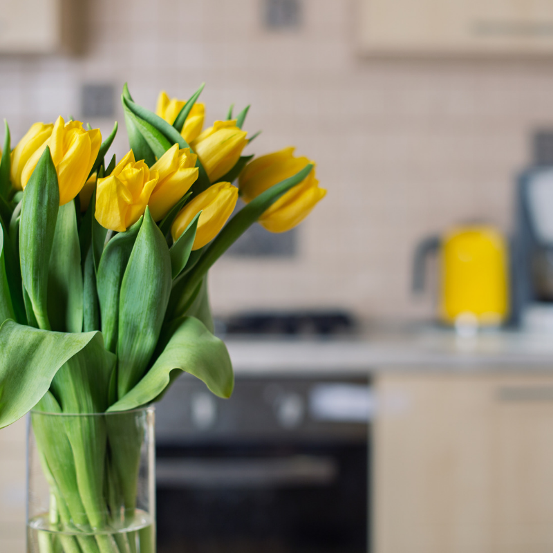 pamelapost's tweet photo. Staging to sell or sprucing up for summer?
Fresh cut flowers and pops of yellow are the way to go!
๐ฟ๐ผ
#homestaging #stagingtosell #homedecor #sprucingup #houstonhomes #houstonREALTOR #htown #cypressREALTOR #thepppteam #pamelapost #tommyruland #nexthomerealtycenter https://t.co/fNNn7EOpjn