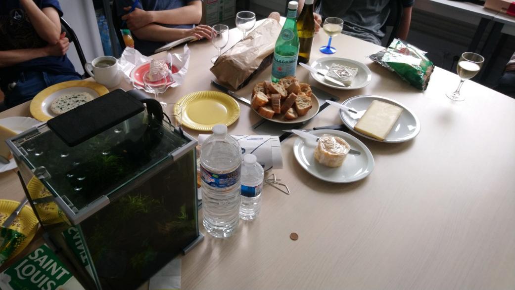 STEM_LPS tweet media