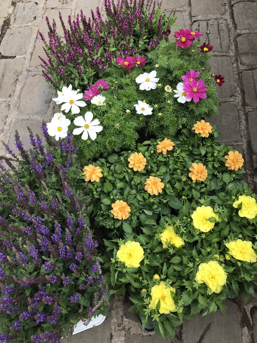 Cllr Ed Fordham (he/him) (@edfordham) on Twitter photo Coming to a Staveley market tomorrow - a plant stall <a href="/StaveleyWelfare/">Staveley Welfare CC</a> <a href="/StaveleyTC/">StaveleyTownCouncil</a> @PoveysPoshJunk <a href="/stephs_stuff/">StephsSustainableStuff</a> <a href="/micklesb/">Michael Broomhead</a> Coming to a Staveley market tomorrow - a plant stall <a href="/StaveleyWelfare/">Staveley Welfare CC</a> <a href="/StaveleyTC/">StaveleyTownCouncil</a> @PoveysPoshJunk <a href="/stephs_stuff/">StephsSustainableStuff</a> <a href="/micklesb/">Michael Broomhead</a>