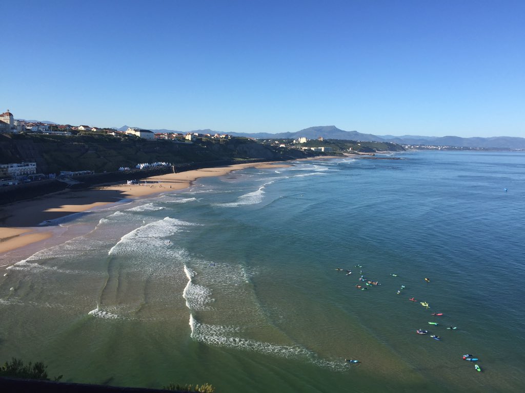 Alain BERTRANDE tweet media