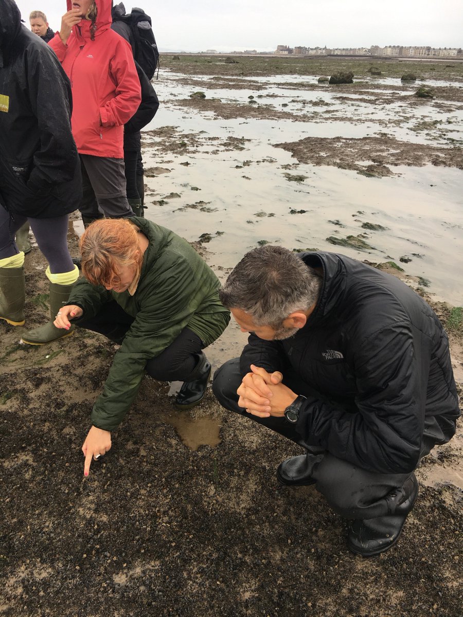 EmmaCritchley3's tweet photo. @bellamysi and Gabi getting inspiration for @EdenMorecambe mussel shells from nearby Heysham Skear mussels.  Amazing day out on the bay https://t.co/UKC4Vt9tZR