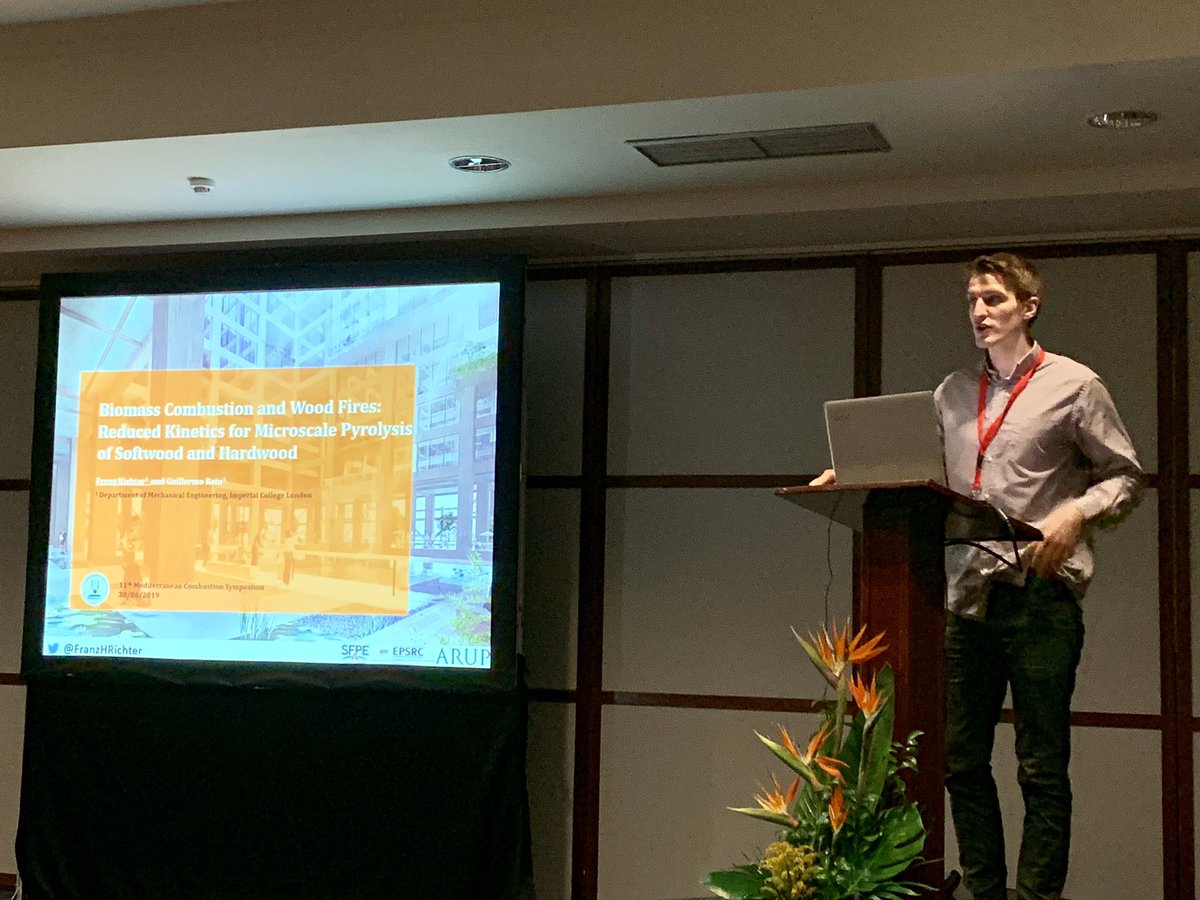yuqihu1990's tweet photo. @ImperialHazelab own @FranzHRichter is talking about the fascinating kinetics of timber fire 👏brilliant as always @mcs11_tenerife @GuillermoRein https://t.co/owwzpnvCdR
