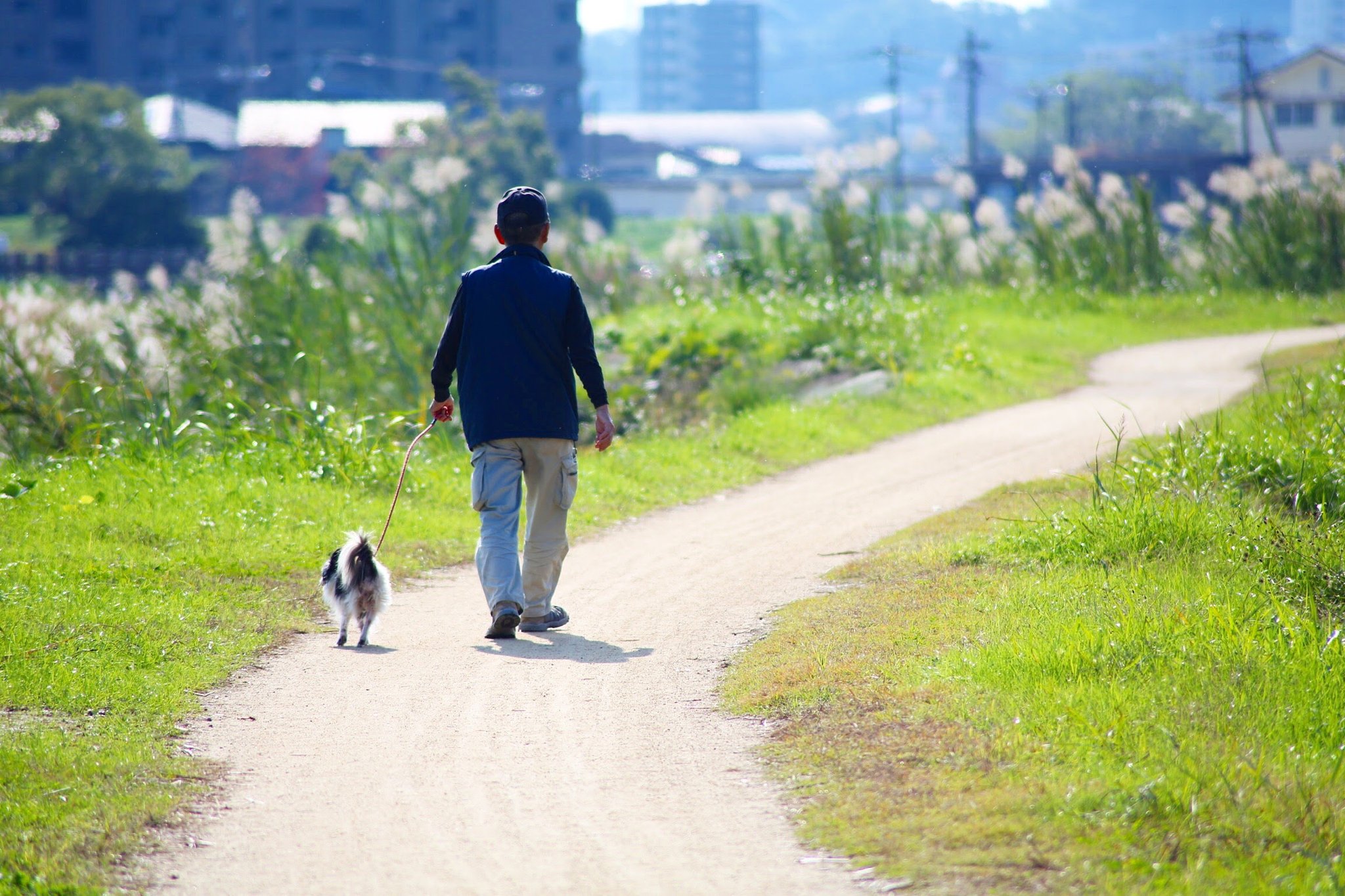 おこたろう 素敵な後ろ姿 年を積み重ねた男の後ろ姿 ほんと絵になる 散歩 男の後ろ姿 熊本城 写真好きな人と繋がりたい 写真で伝えたい私の世界 ファインダー越しの私の世界 T Co Gz336s1aqh Twitter