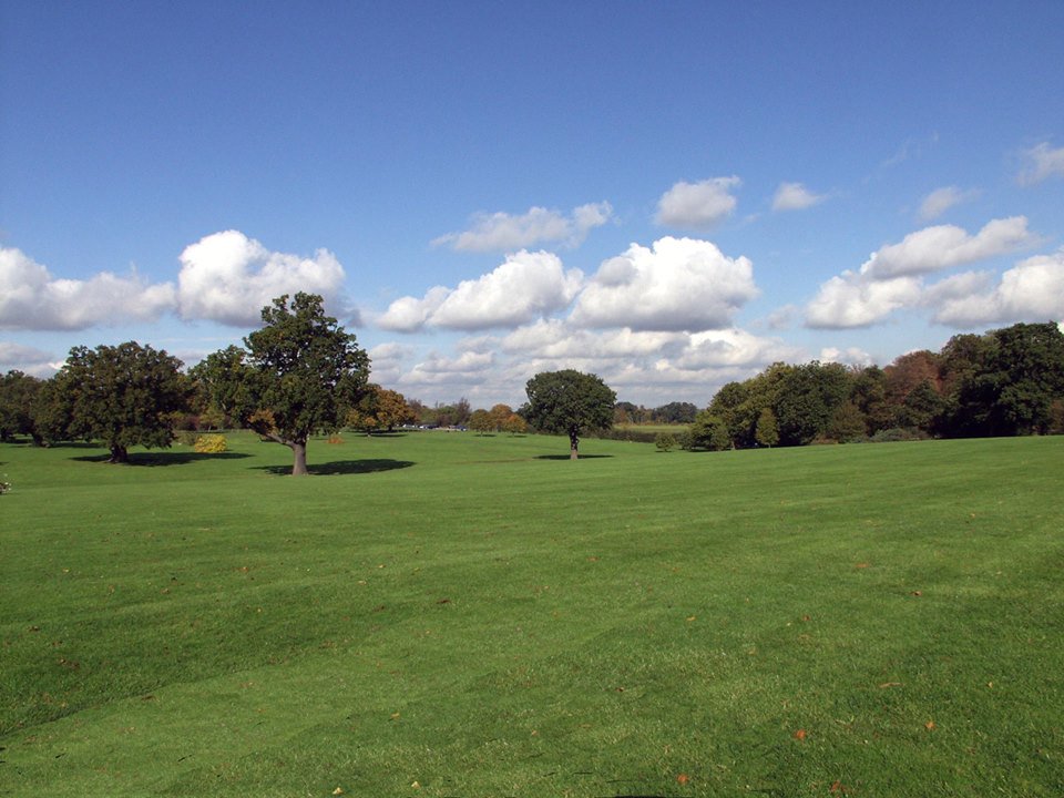 We’re very lucky to have the beautiful Hylands Park as the setting for Fling. Please help keep us keep it this way by clearing your rubbish in the various recycling stations dotted around site #leavenotrace 🌳💚 <a href="/HylandsEstate/">Hylands Estate</a>