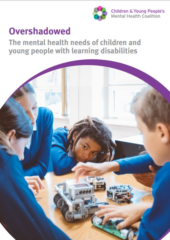 EmbraceComplex's tweet photo. Young people with learning disabilities and mental health problems are at risk of falling through the cracks of our society due to the lack of preventative approaches and joined up support, say @CYPMentalHealth #LDWeek19 #EmbraceComplexity https://t.co/A4m9RKaoSt https://t.co/A0G9upkN4h